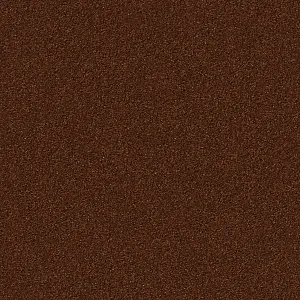 Carpet SILKY SEAL 1210 coconut eliptical<br />
4400 x 3000 mm