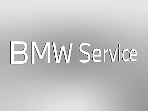 BMW Lettering "BMW Service", not illuminated, E1