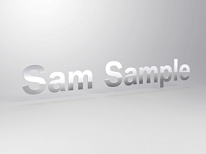 Character for BMW pylon P6