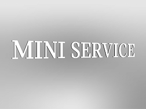 MINI Lettering "MINI Service", not illuminated, E1