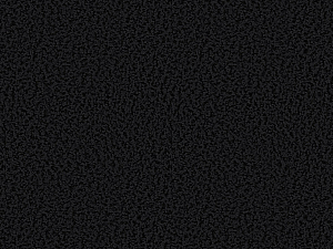 Carpet&nbsp;&nbsp;Smoozy 1621 Kaviar black square<br />
3300 x 3800 mm