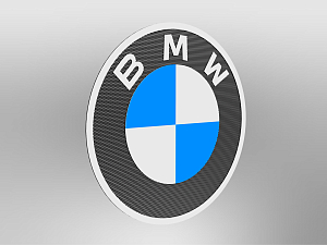 BMW logo size E0+ wall mounted, unlit