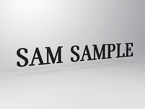 Foil lettering for MINI directional sign (per line)