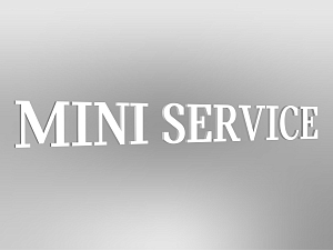 MINI Lettering "MINI Service", illuminated, E2