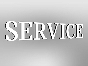 MINI Lettering “Service”, illuminated, E2
