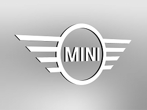 MINI logo size E1 wall mounted, unilluminated