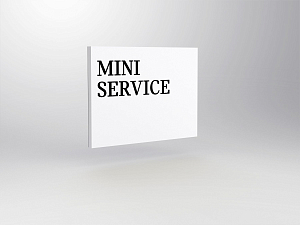 MINI Service module M2, wallmounted <br />
B 1000 x H 750 mm
